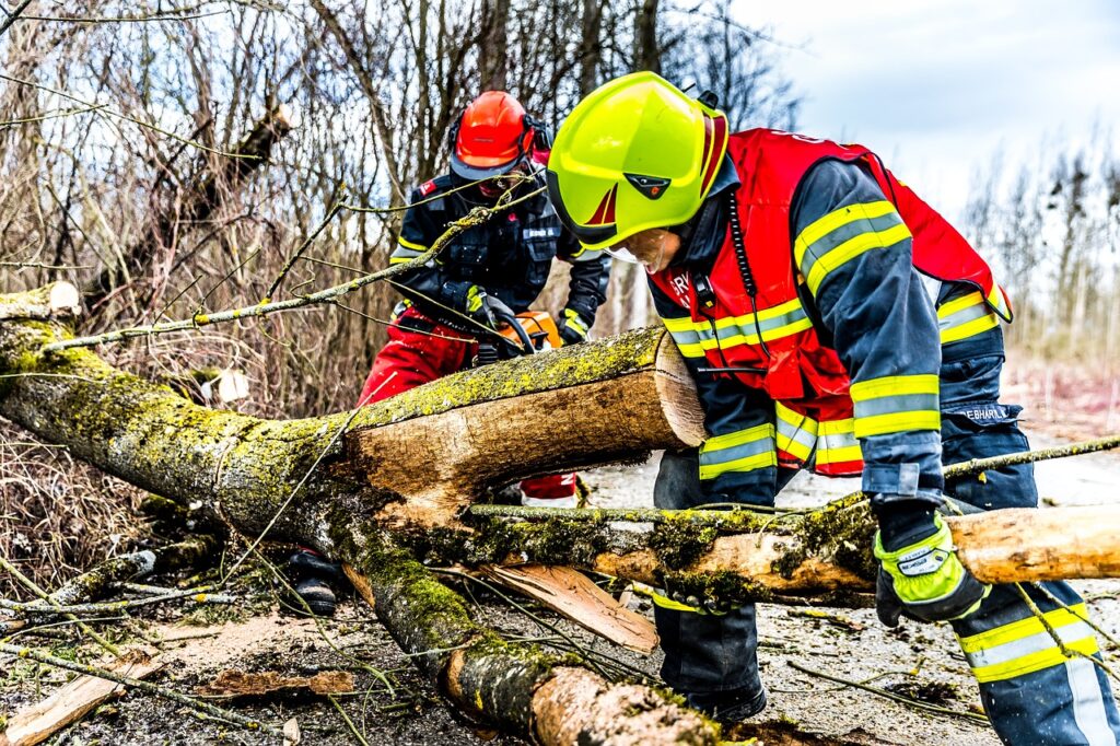 Sturmschaden Norderstedt Baum